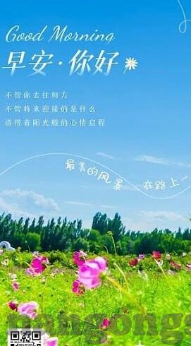 北京单关足球比分-北京单关足球比分，绿茵场上的数字密码与激情交响