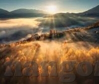 足球实时比分直播滚球-足球实时比分直播滚球，科技赋能下的足球观赛新体验