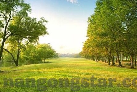 足球移动比分-足球移动比分，科技如何重塑绿茵场的观赛革命